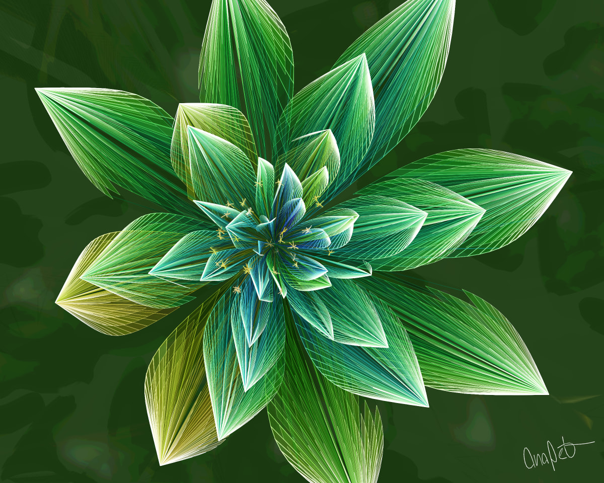 video placeholder image