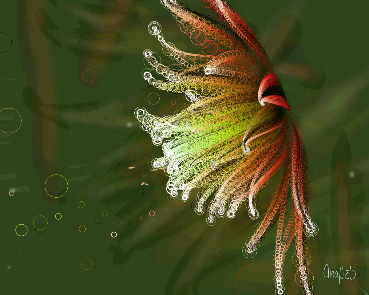video placeholder image
