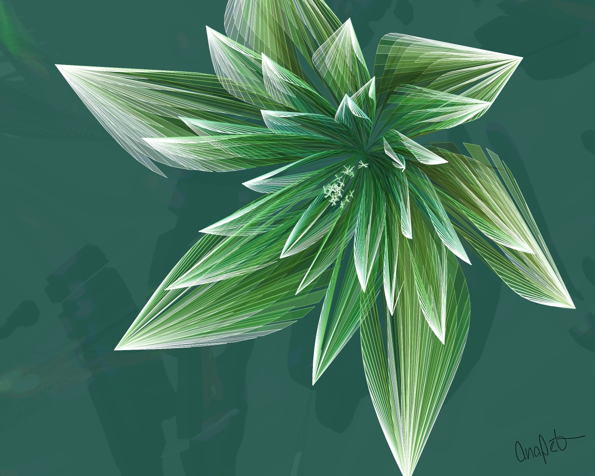video placeholder image