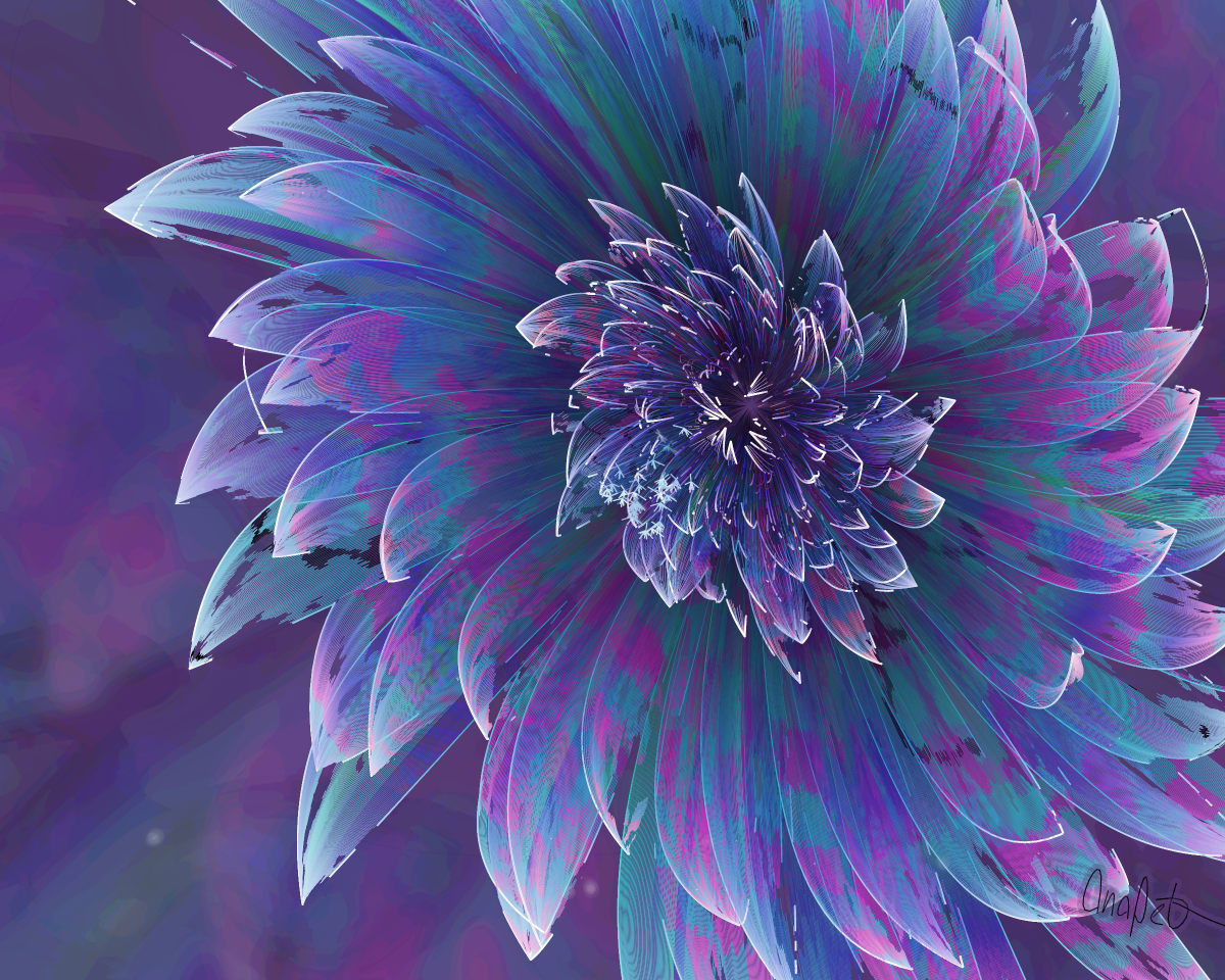 video placeholder image