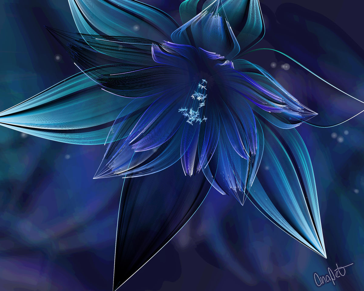 video placeholder image