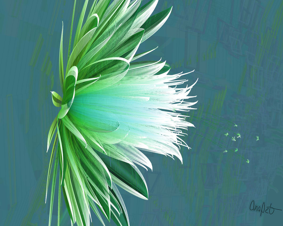 video placeholder image