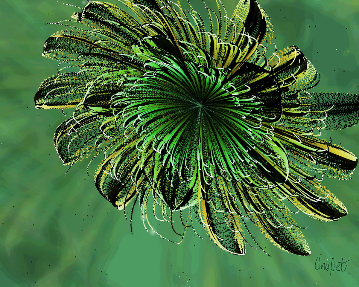 video placeholder image