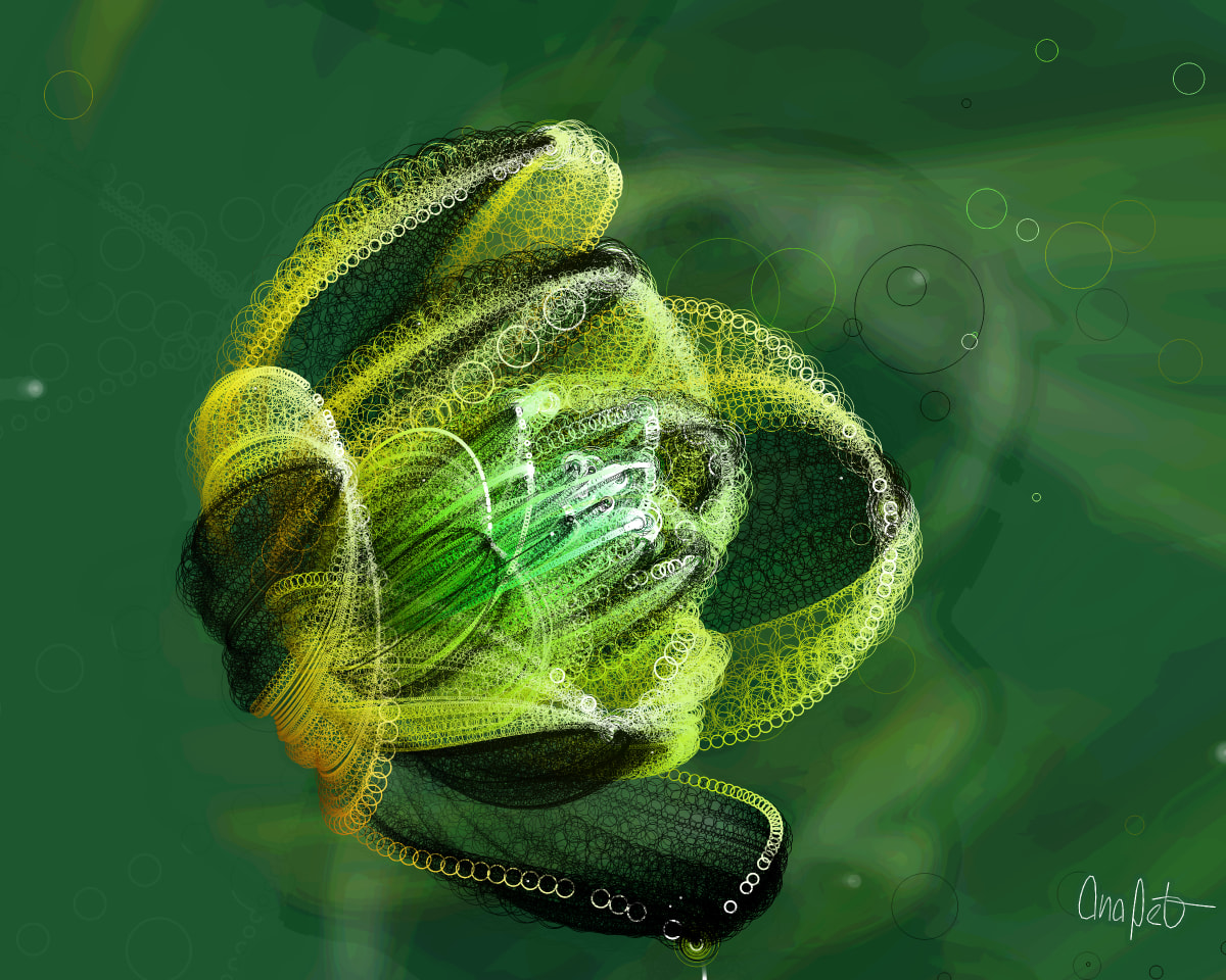 video placeholder image