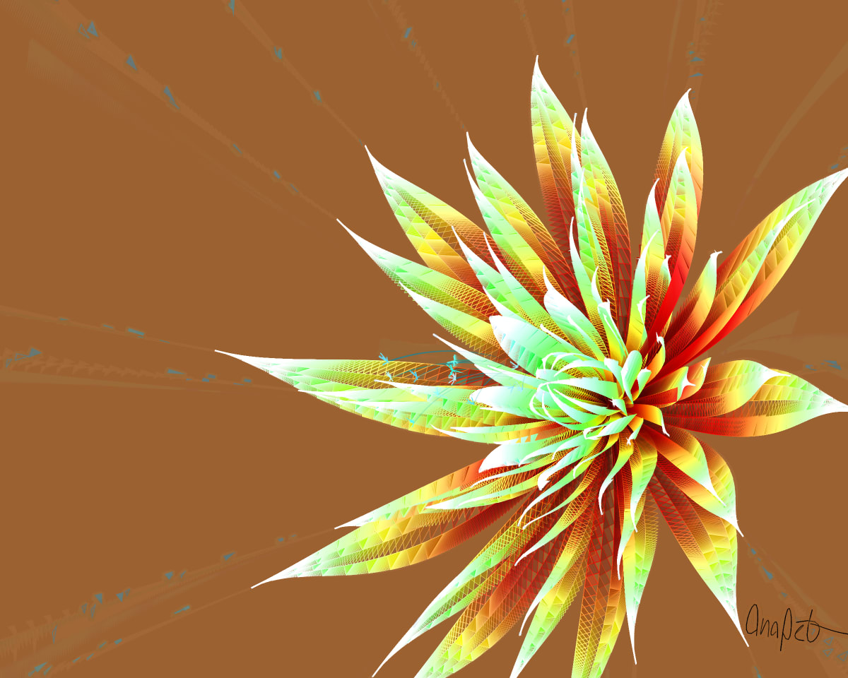 video placeholder image