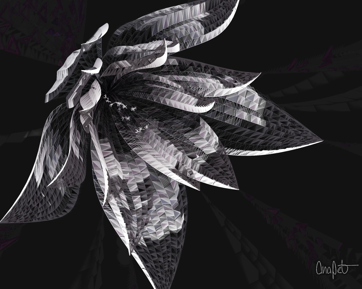 video placeholder image