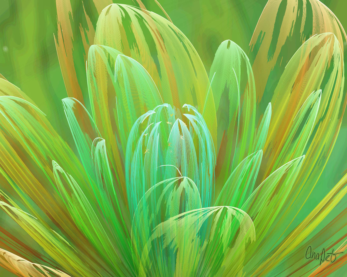 video placeholder image