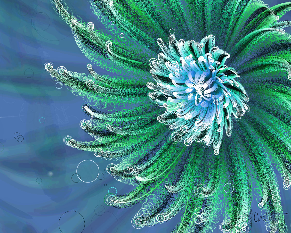 video placeholder image