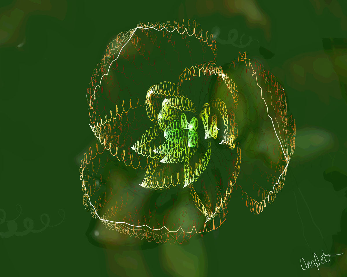 video placeholder image