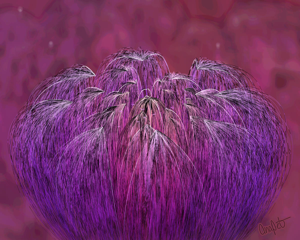 video placeholder image