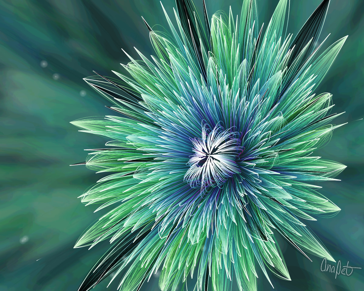video placeholder image