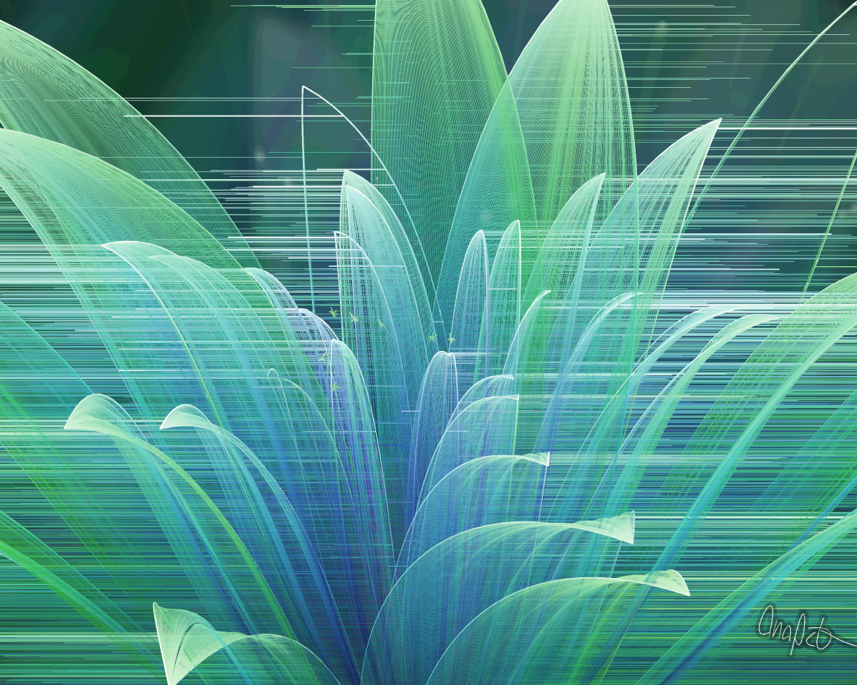 video placeholder image