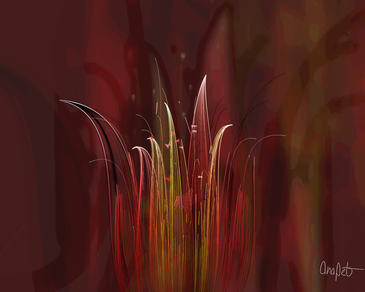 video placeholder image