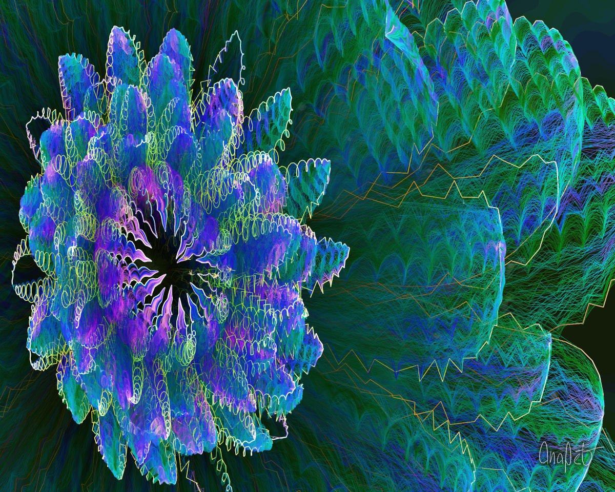 video placeholder image