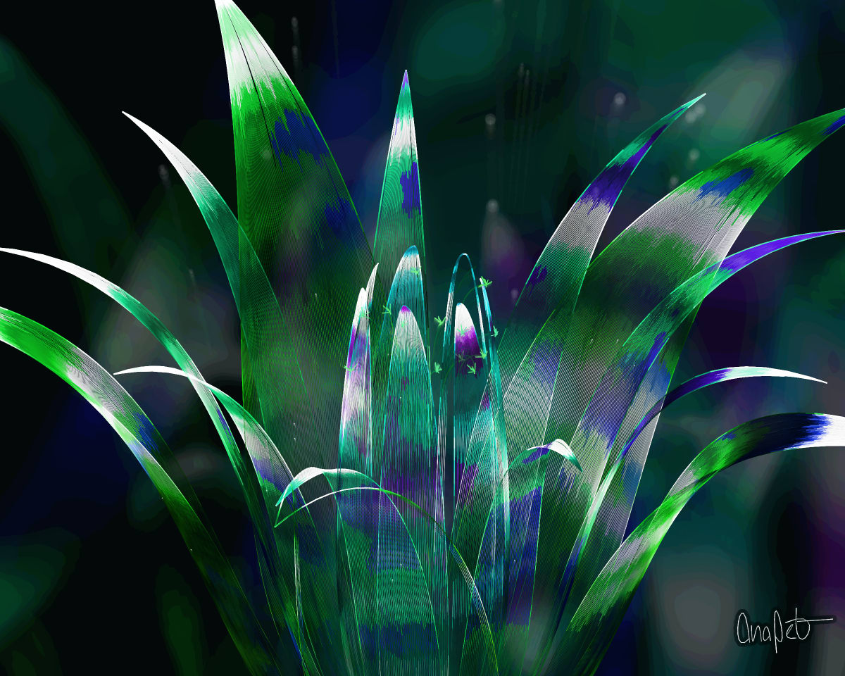 video placeholder image