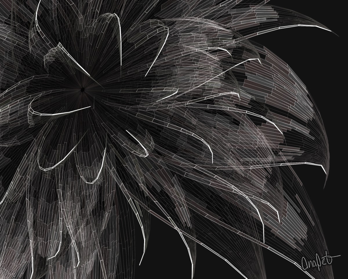 video placeholder image