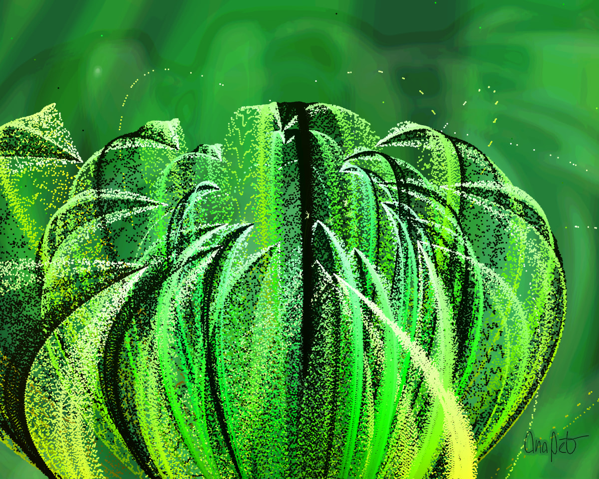 video placeholder image