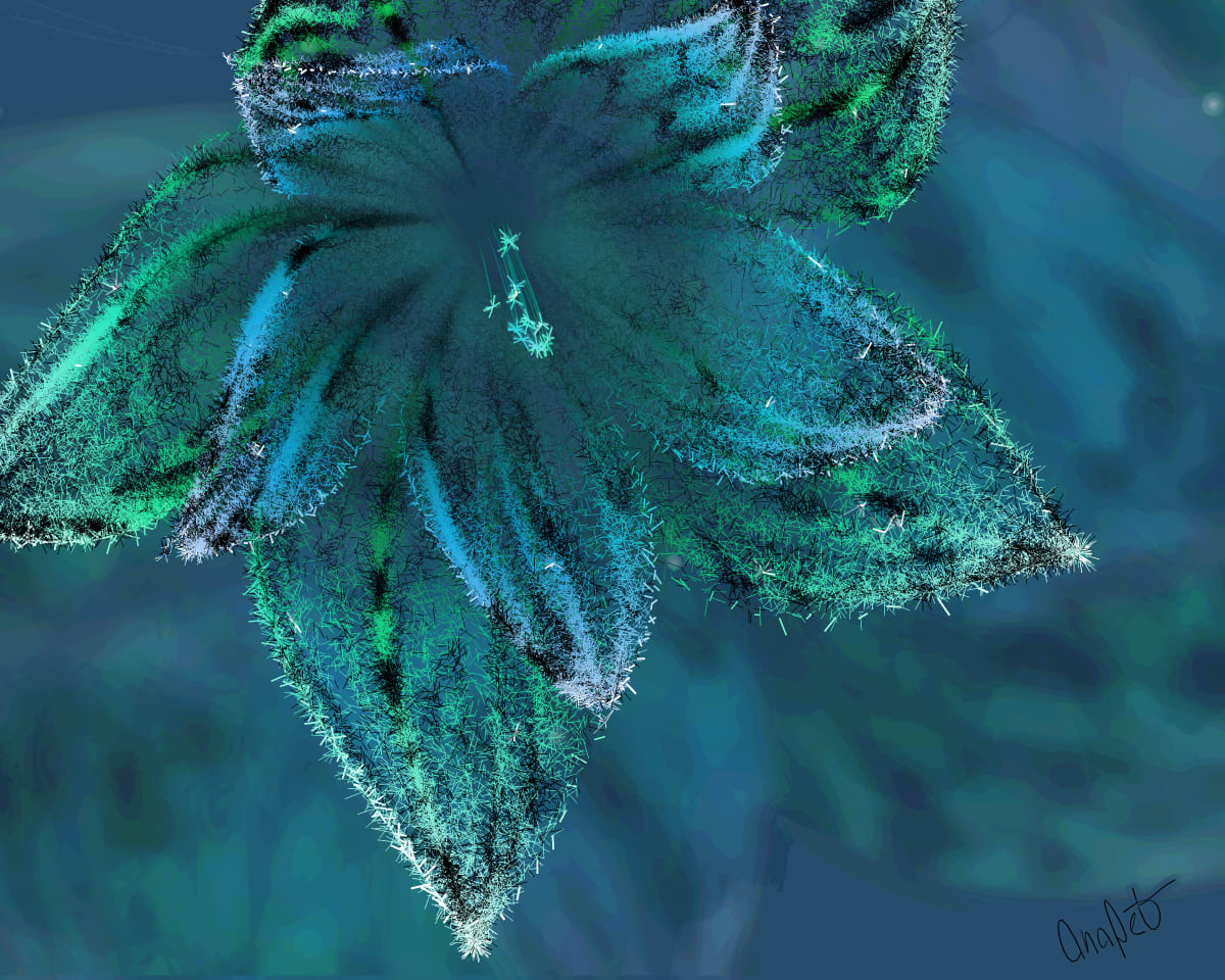 video placeholder image