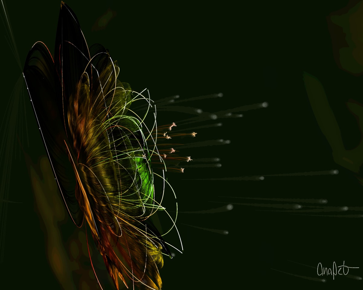 video placeholder image
