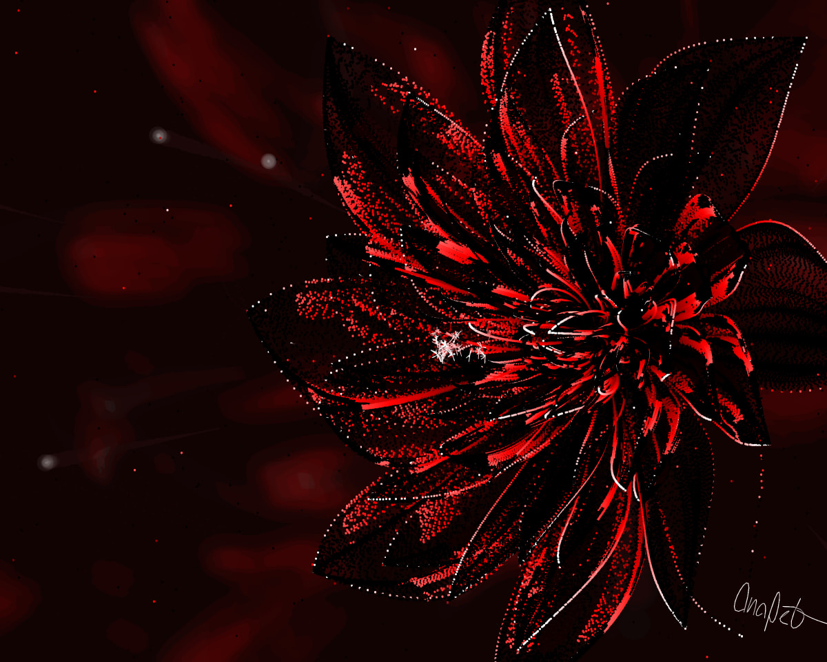 video placeholder image