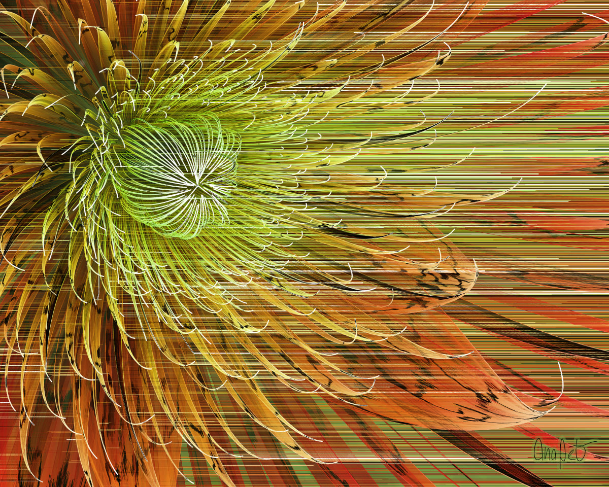 video placeholder image