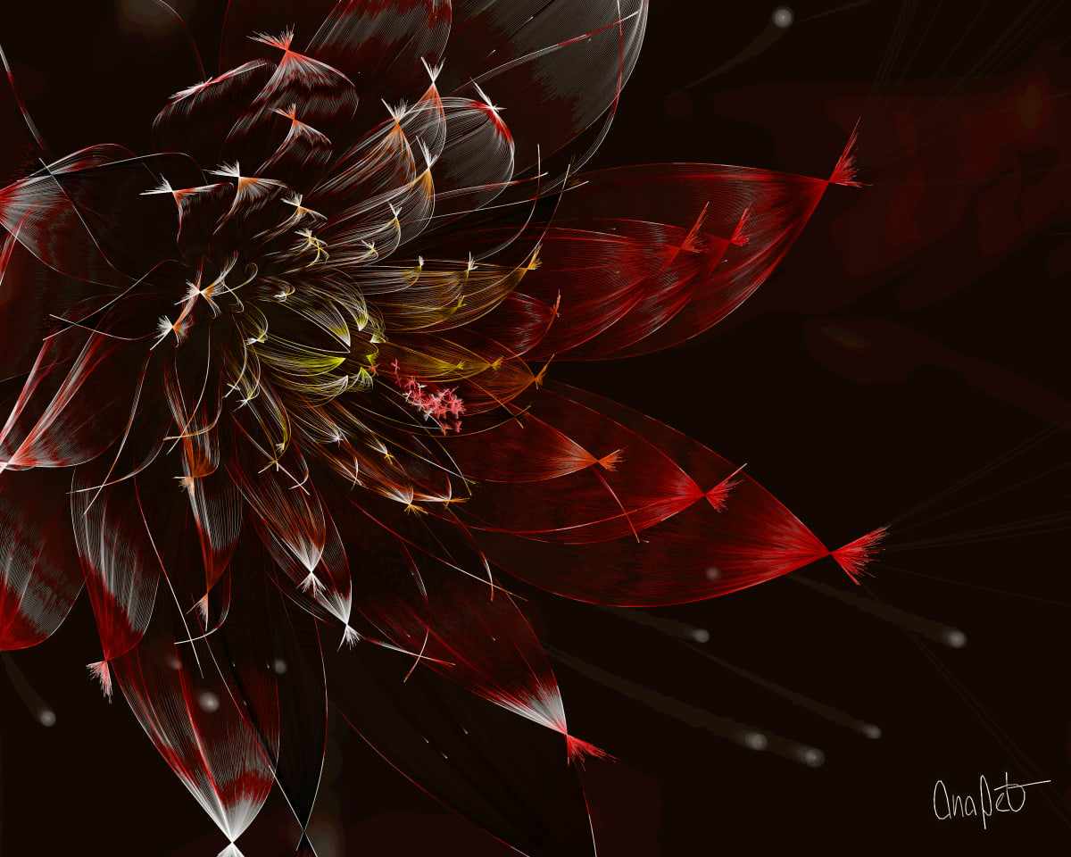 video placeholder image