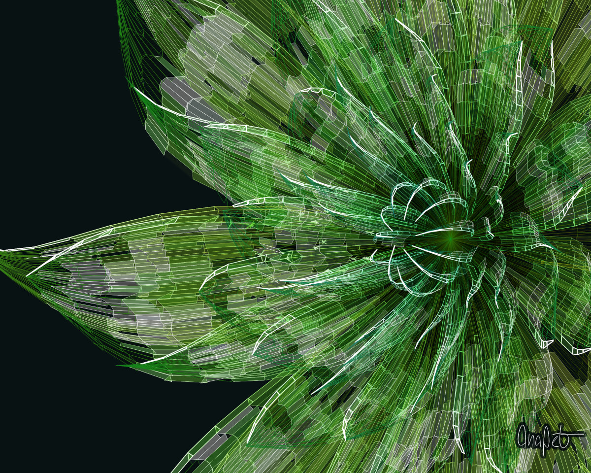 video placeholder image