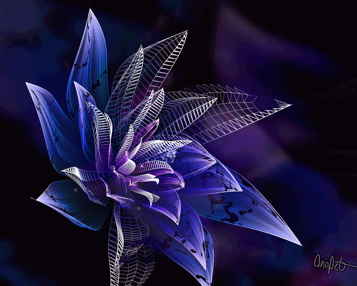 video placeholder image