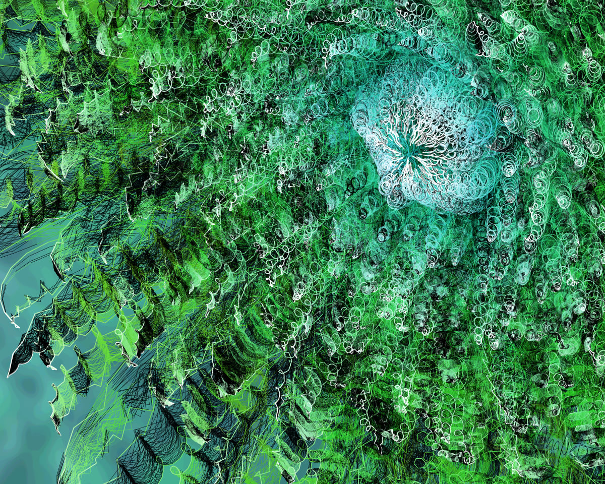video placeholder image