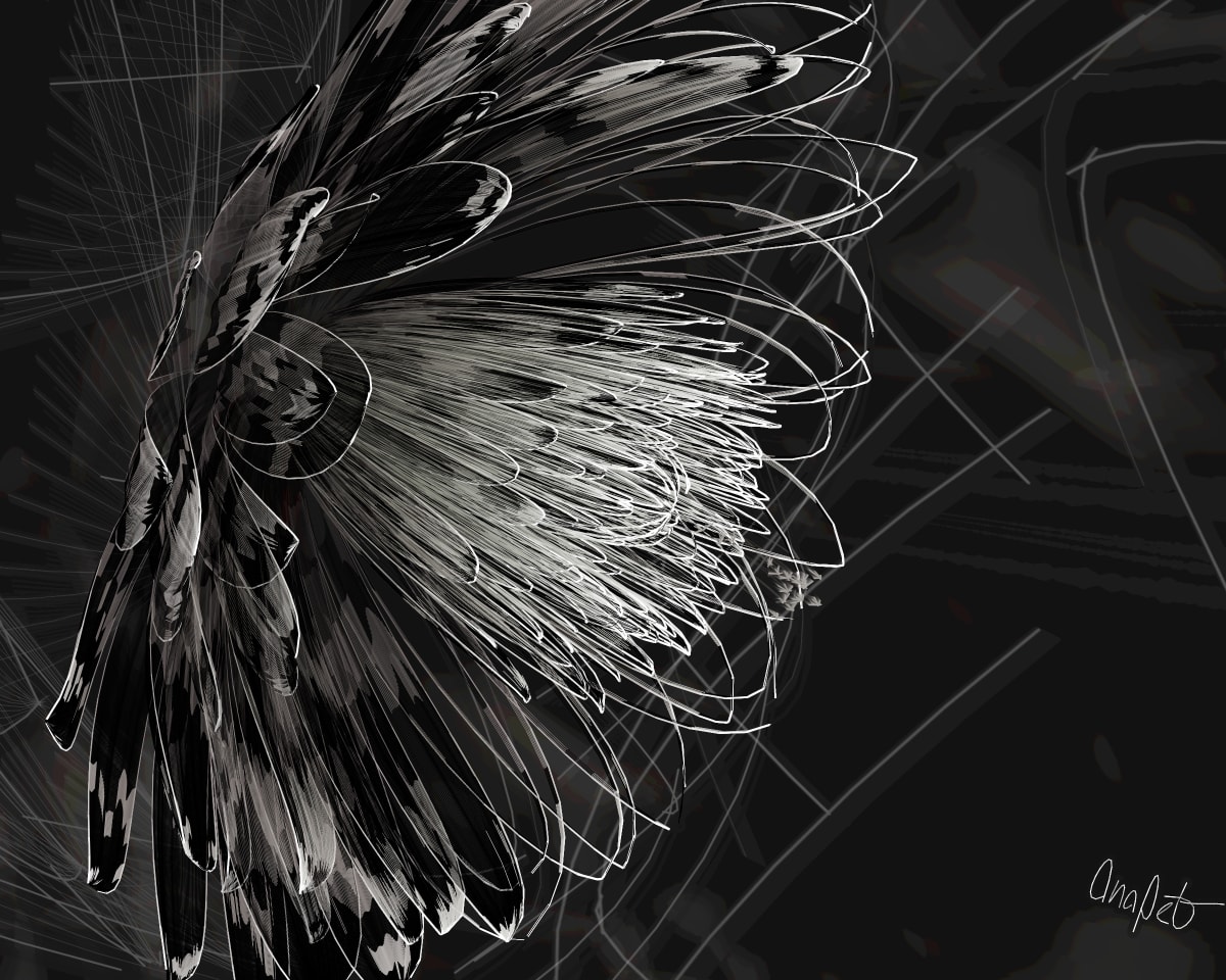video placeholder image