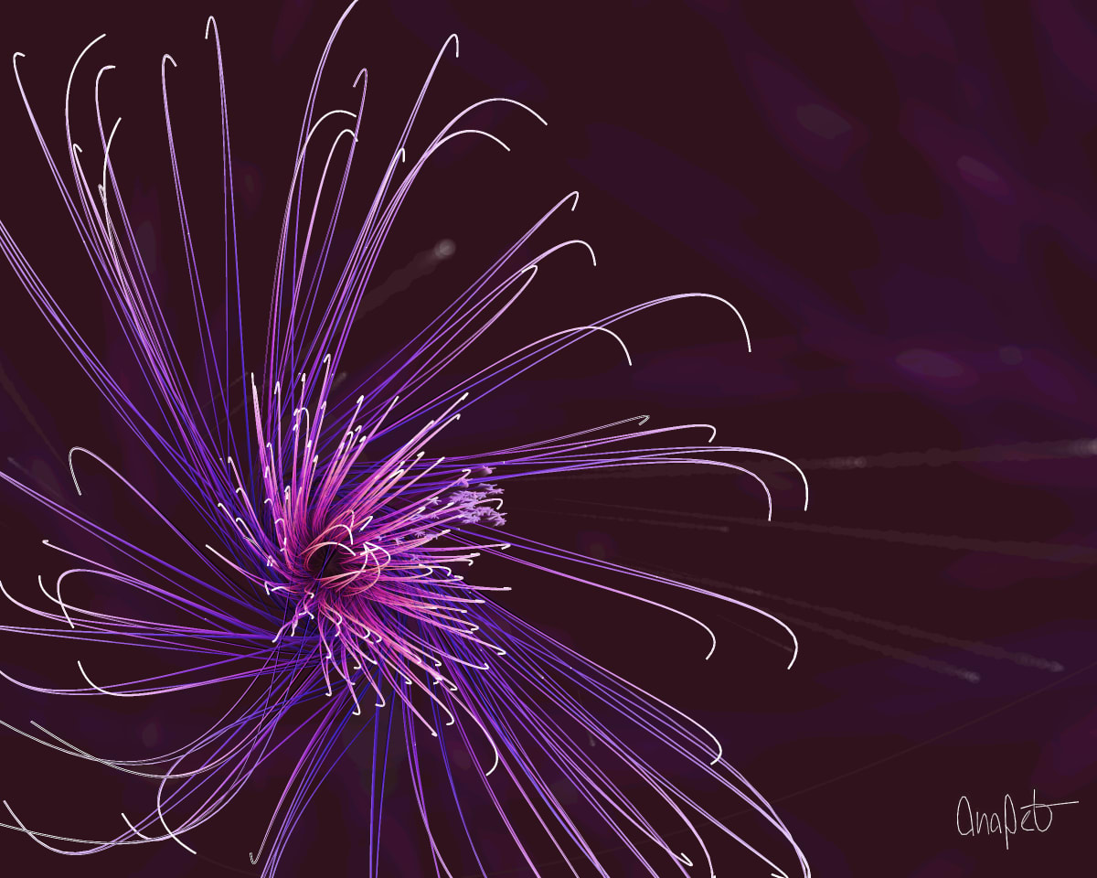 video placeholder image