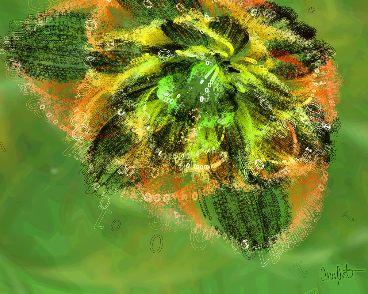 video placeholder image