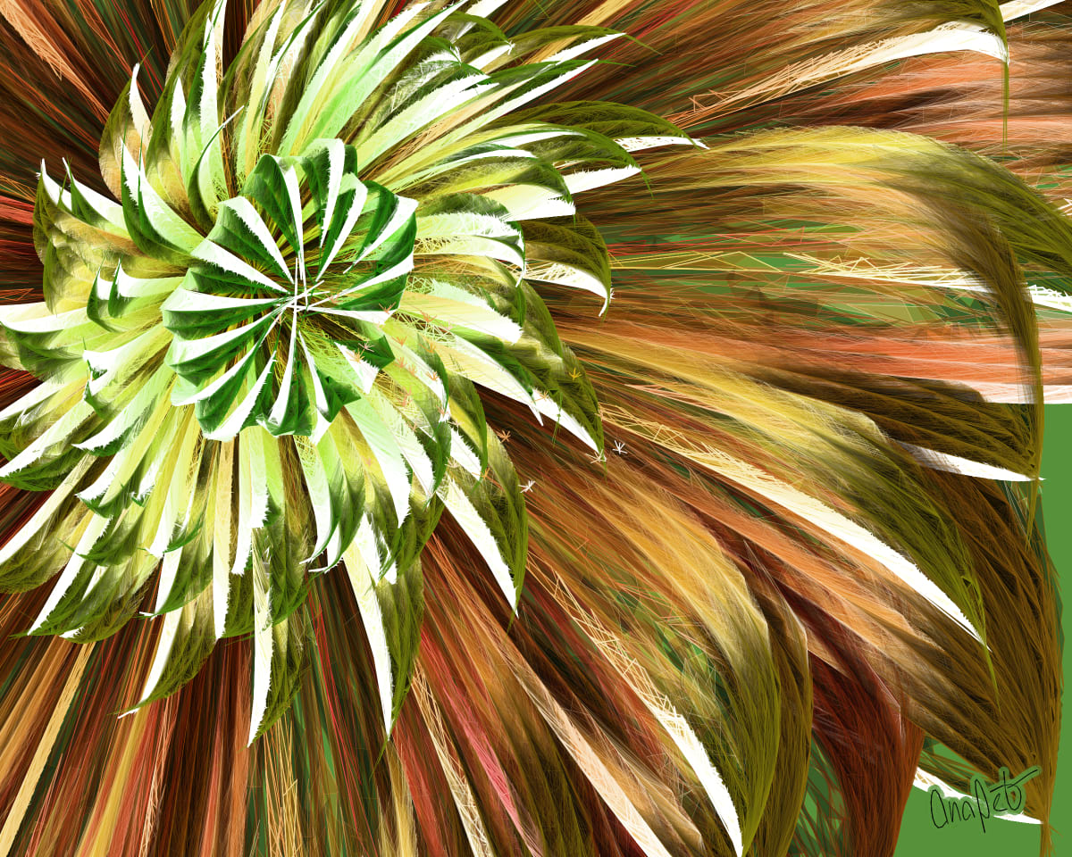 video placeholder image