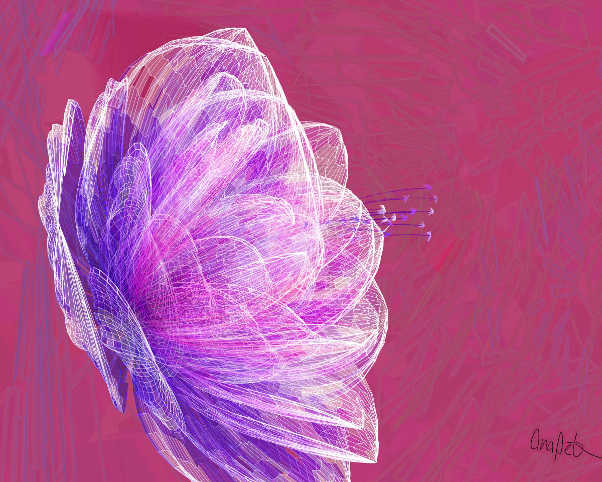 video placeholder image