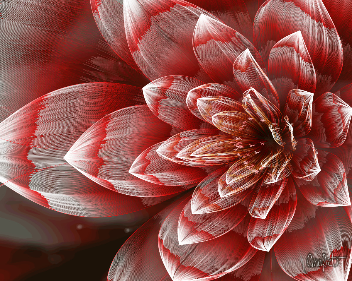 video placeholder image