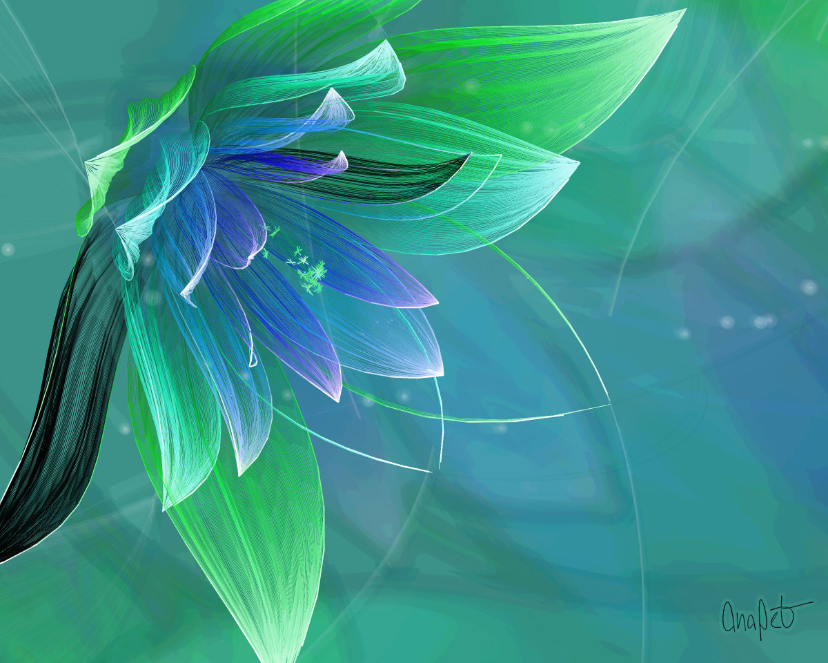 video placeholder image