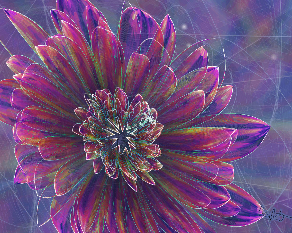 video placeholder image
