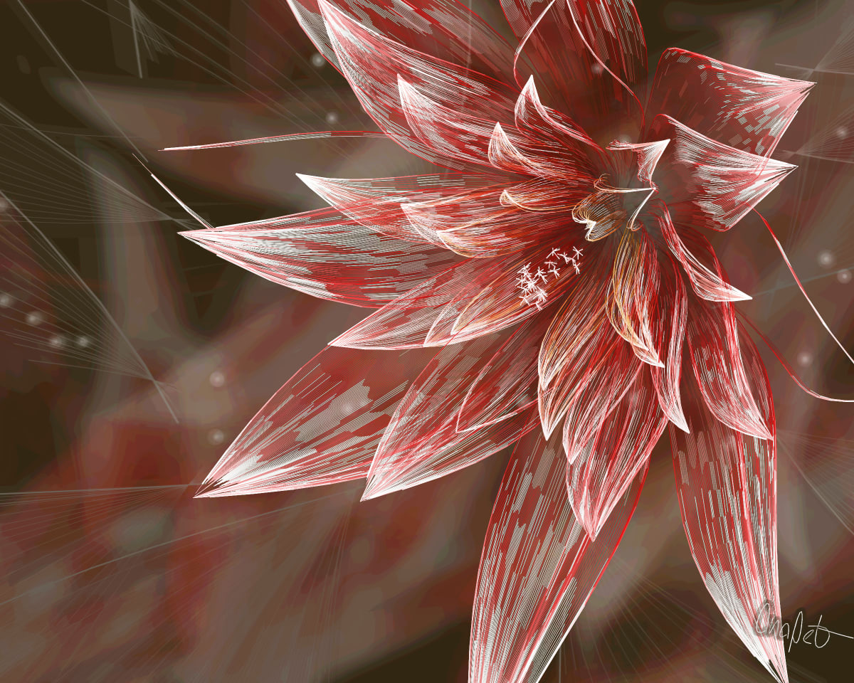 video placeholder image