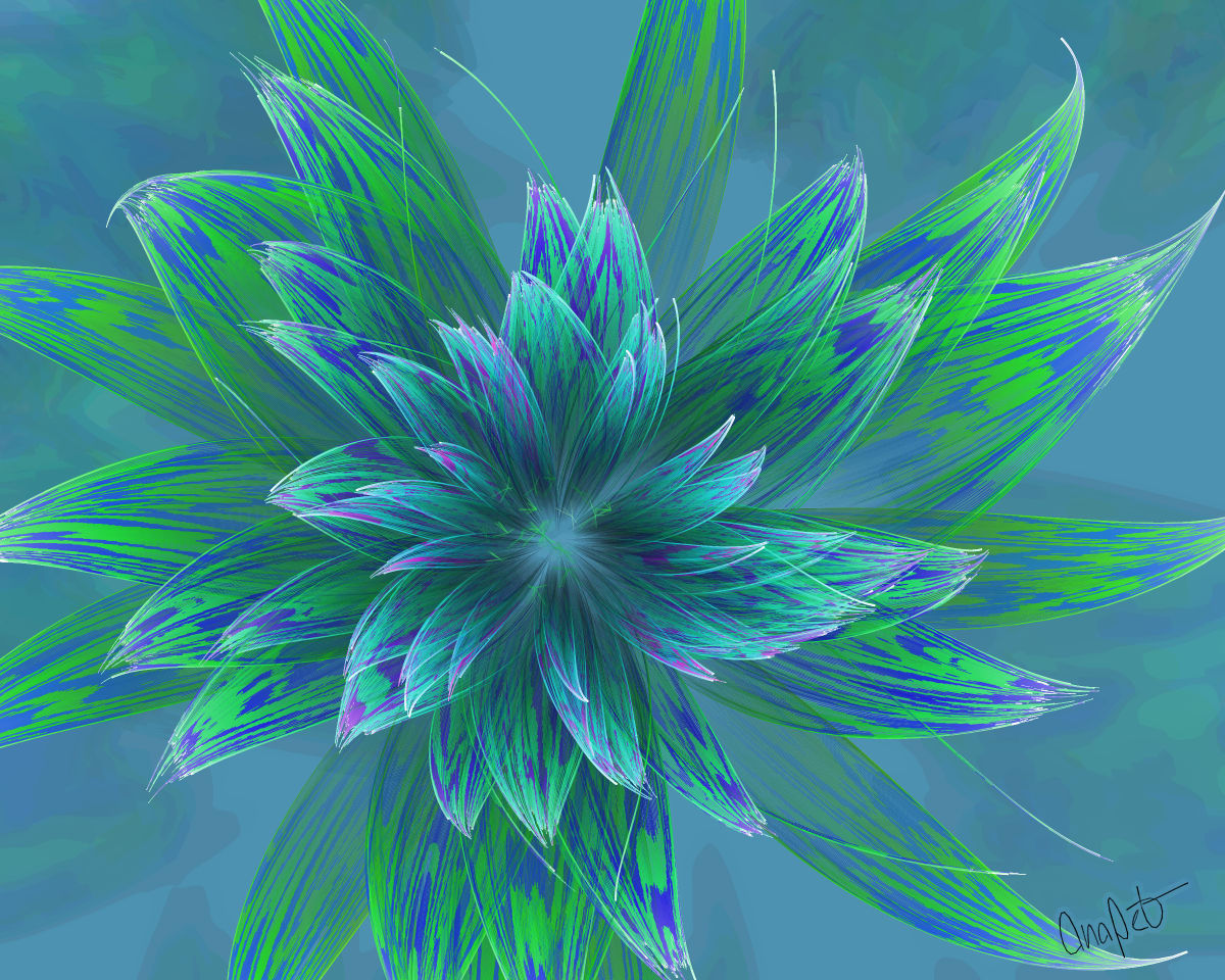 video placeholder image