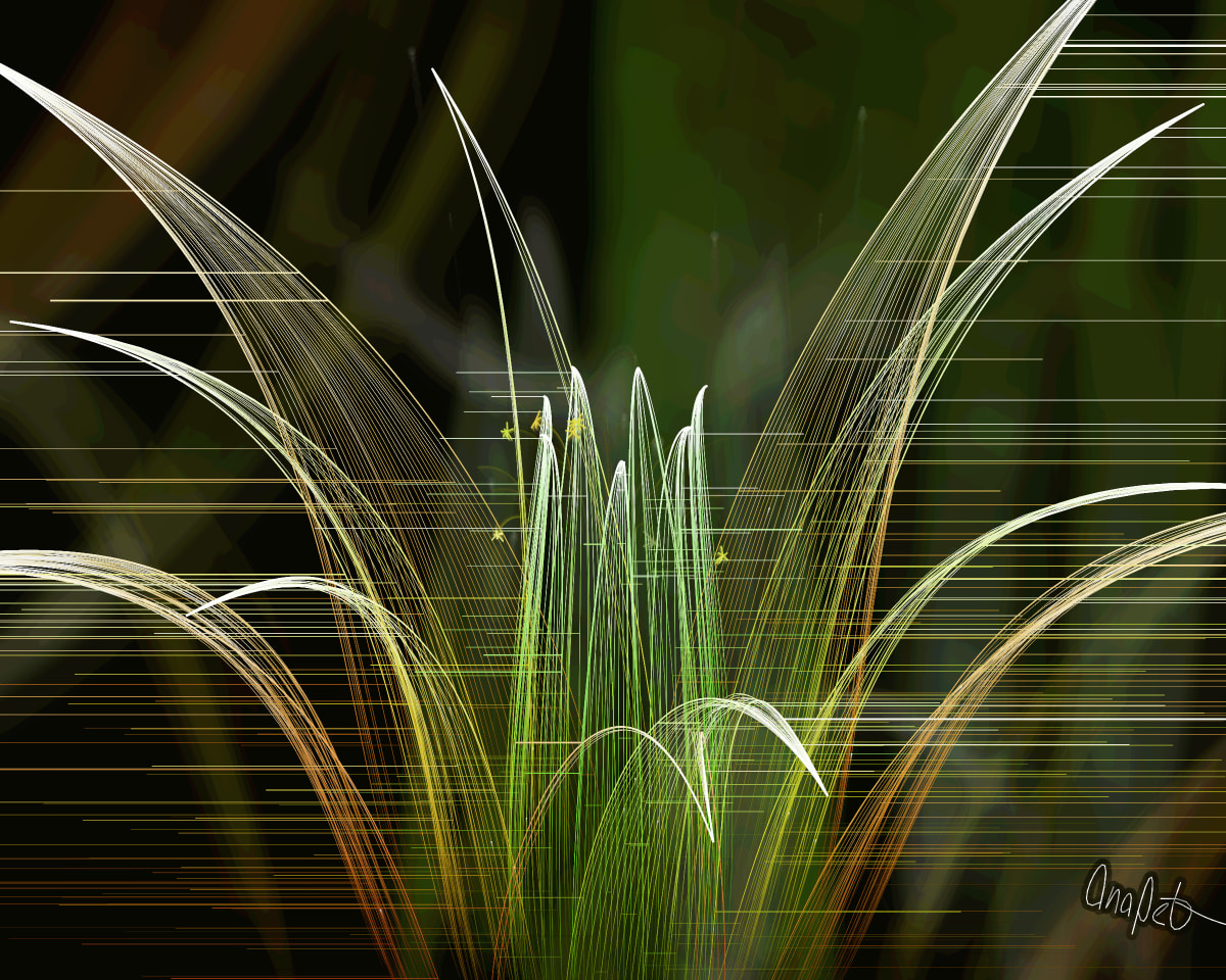 video placeholder image