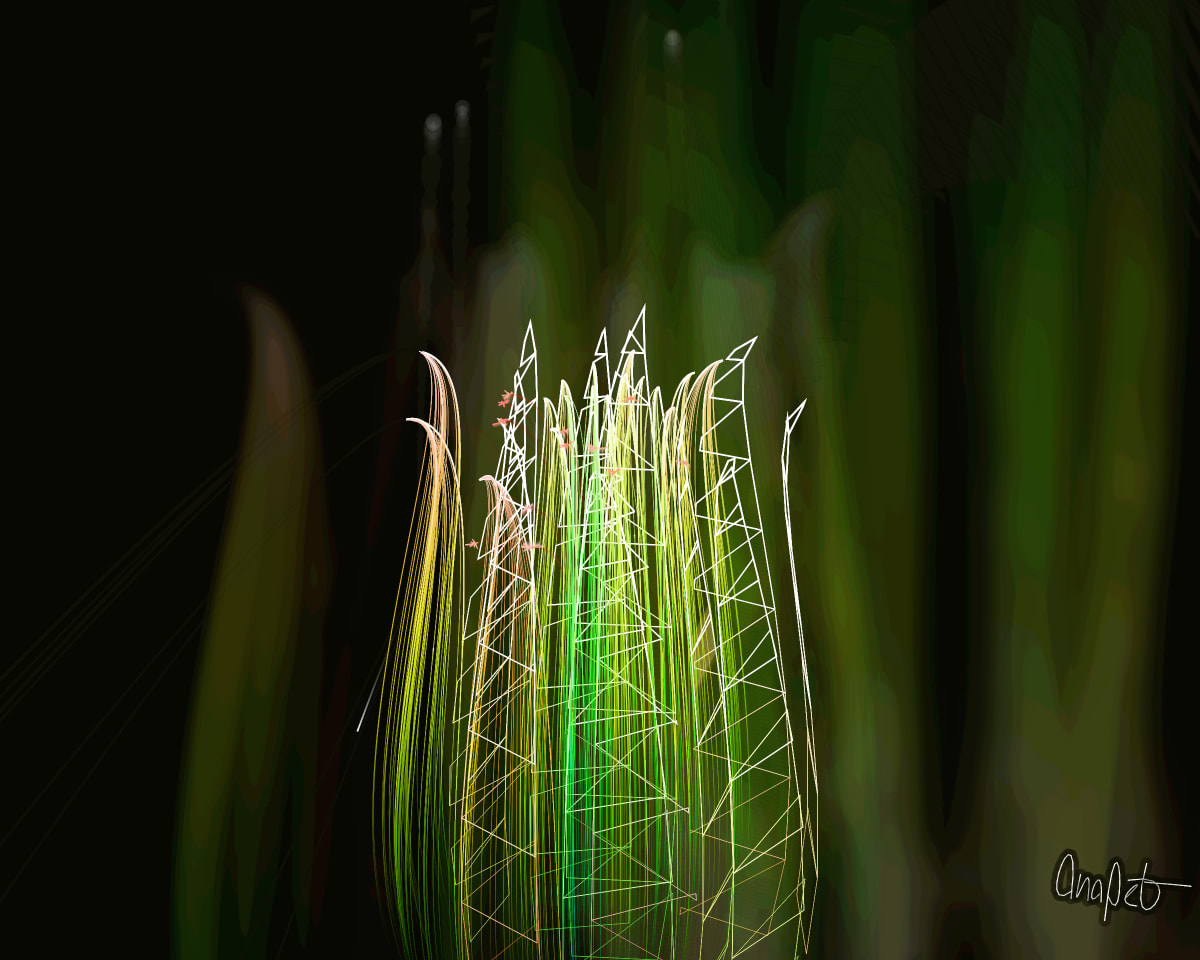 video placeholder image