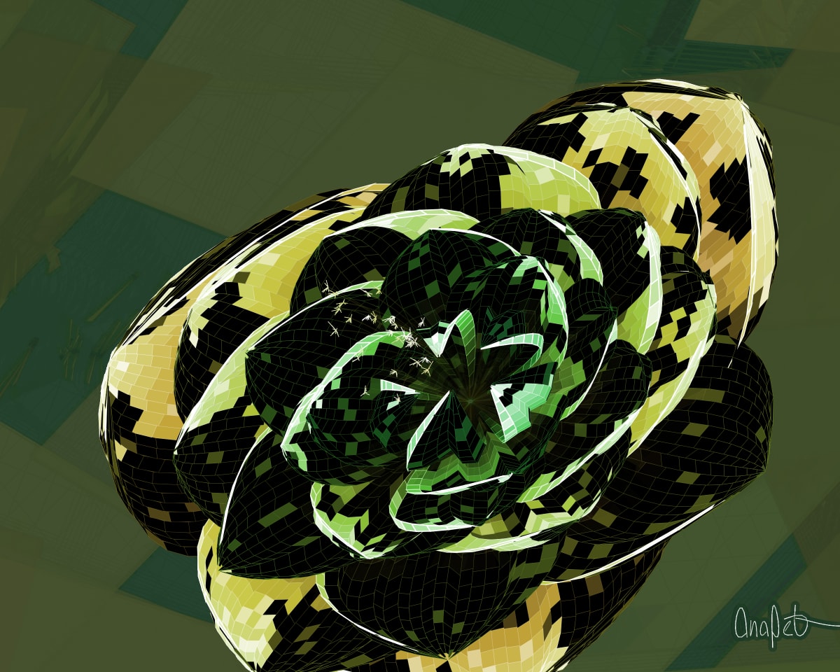video placeholder image