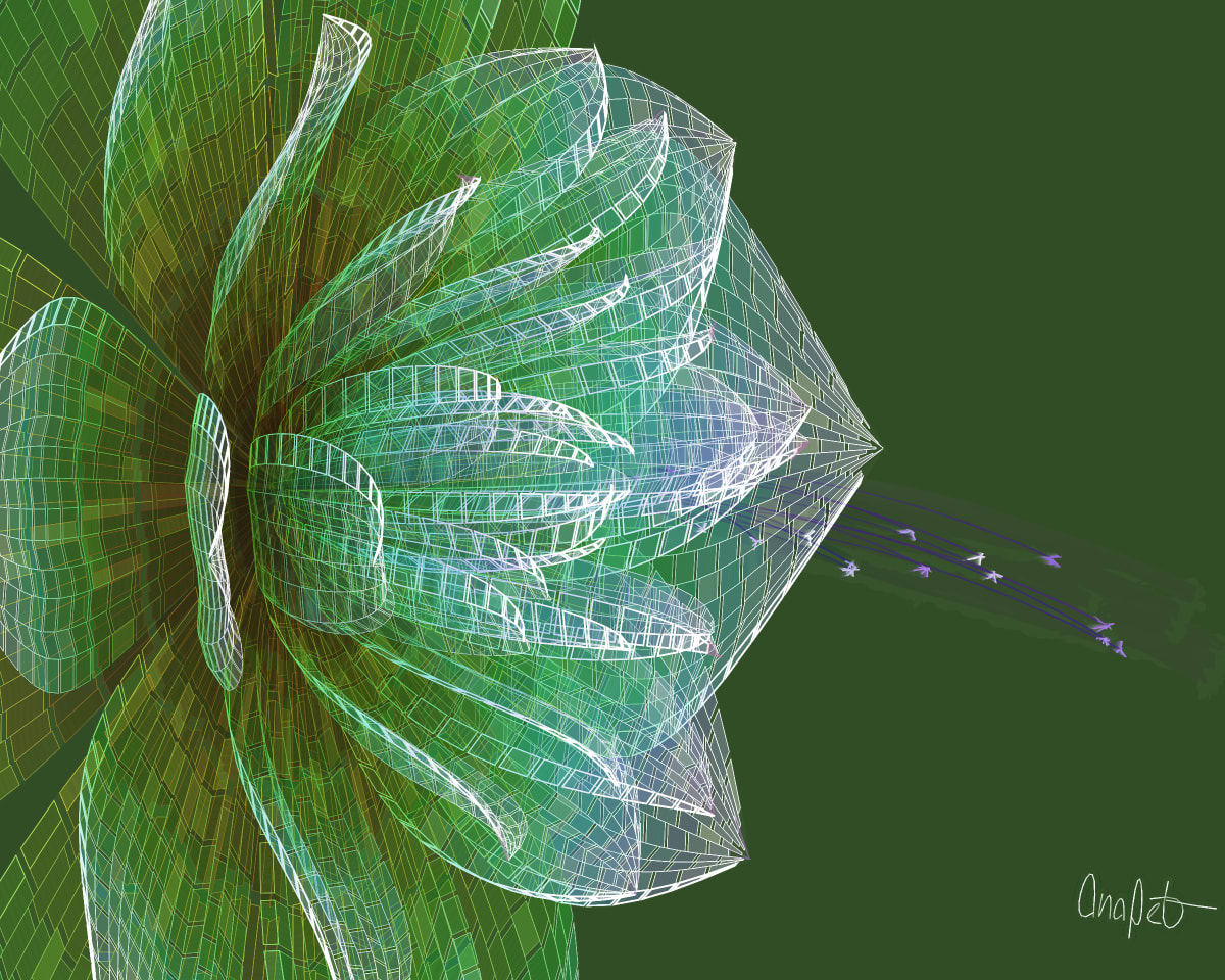 video placeholder image