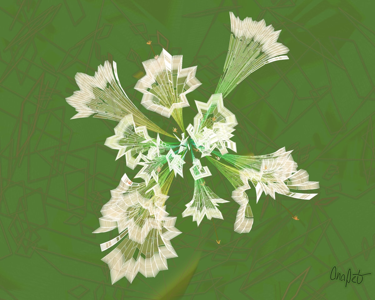 video placeholder image