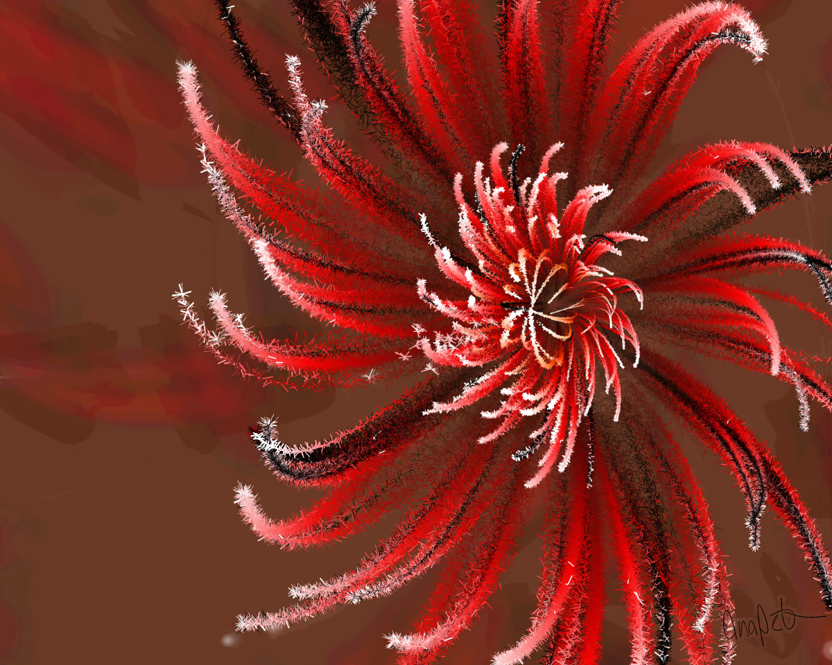 video placeholder image