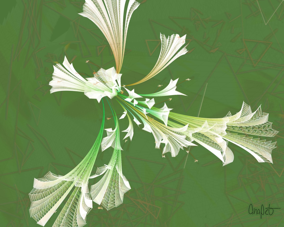 video placeholder image