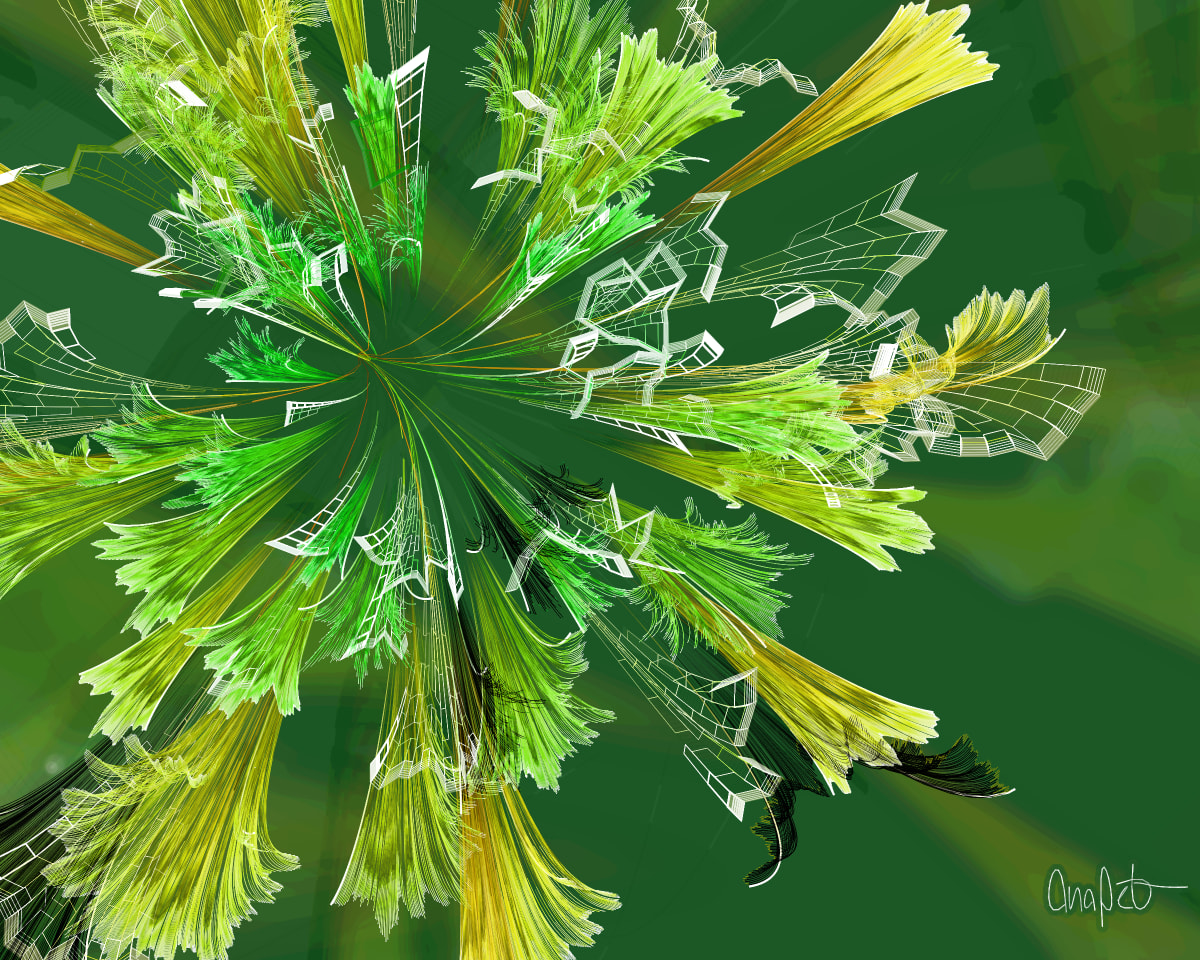 video placeholder image