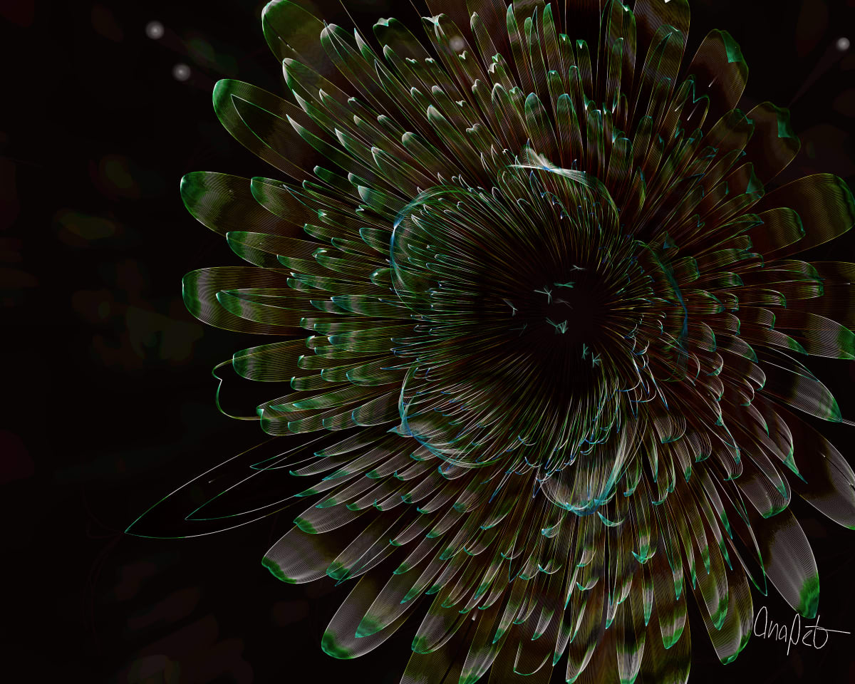 video placeholder image