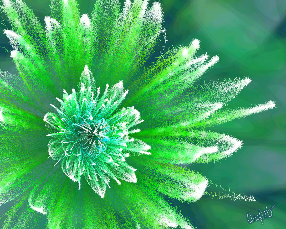 video placeholder image