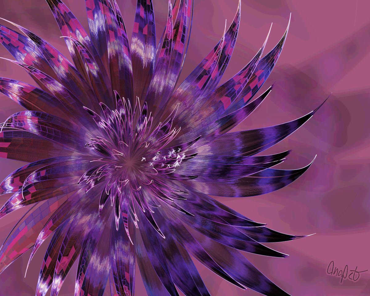 video placeholder image